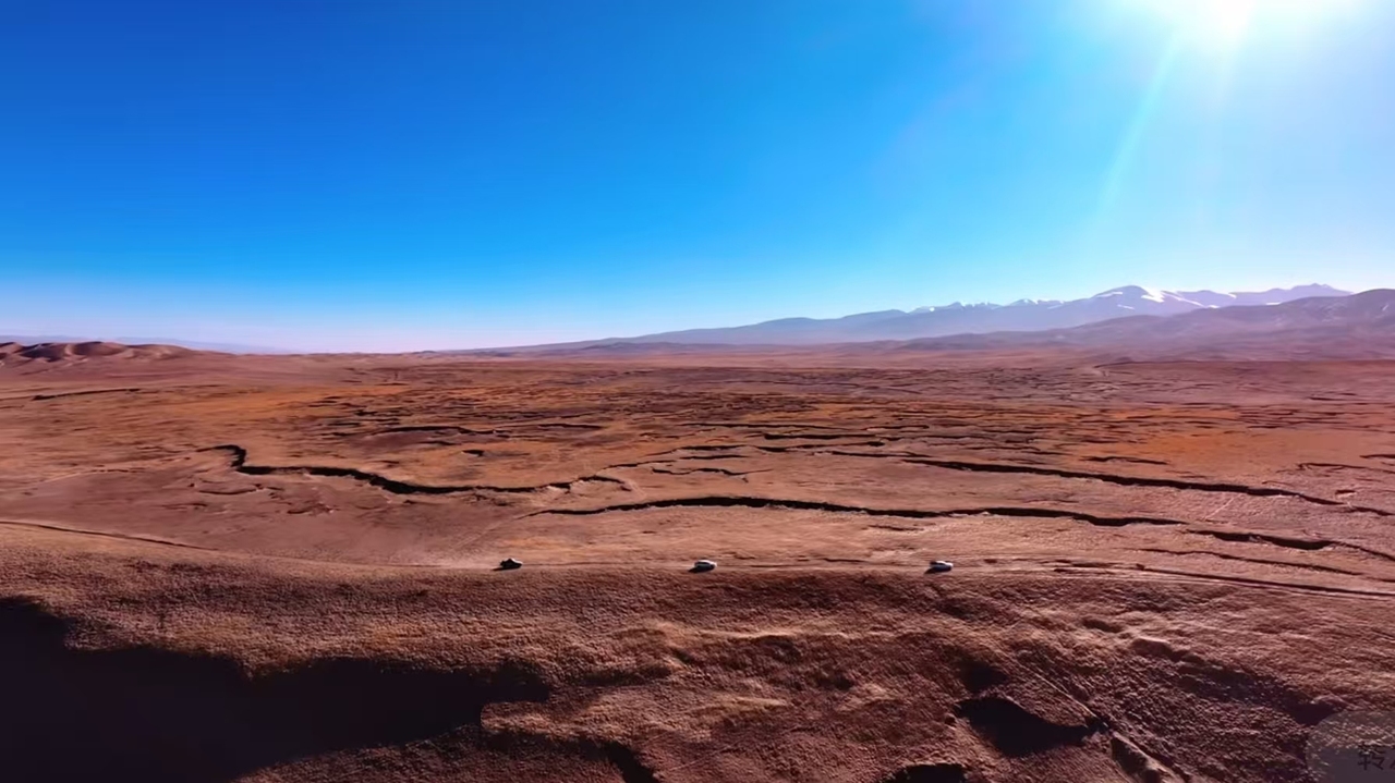 信息天路守护可可西里生灵